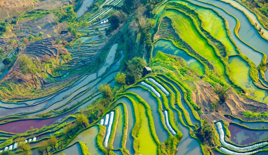 宝妈必备神器：谯城区产品视频拍摄轻松育儿好帮手