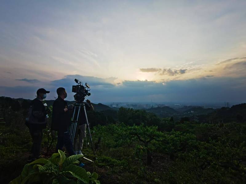 聚焦谯城区产品宣传视频拍摄公司，用专业实力铸就品牌传播传奇